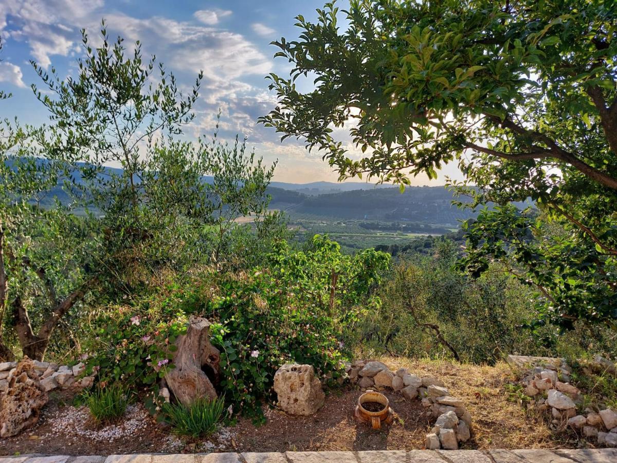 فيستَ B&B Villa Maria Ester المظهر الخارجي الصورة