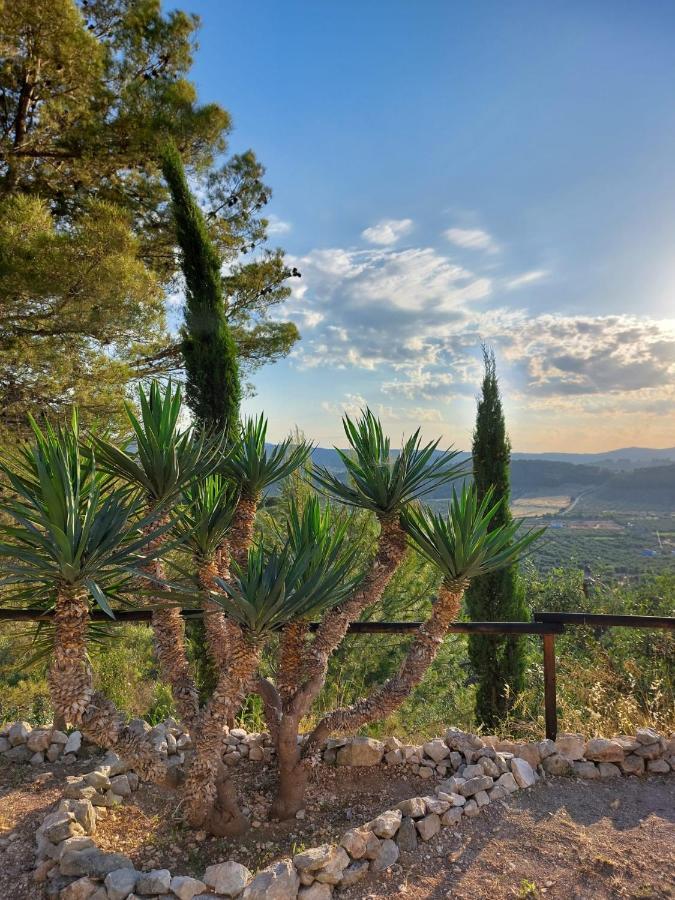 فيستَ B&B Villa Maria Ester المظهر الخارجي الصورة