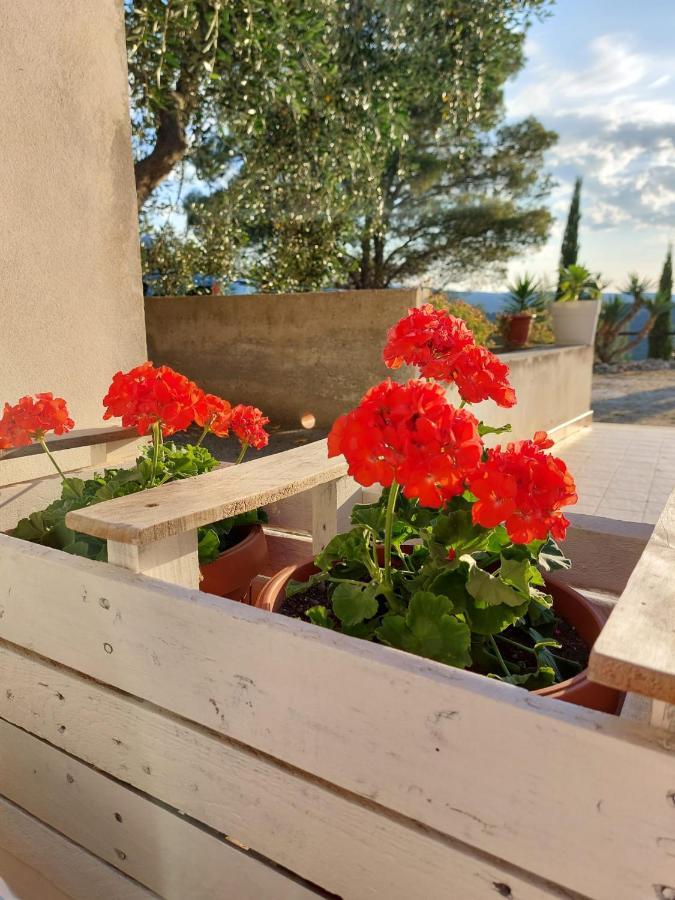 فيستَ B&B Villa Maria Ester المظهر الخارجي الصورة